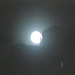 /                     watch the       moon                                               / /