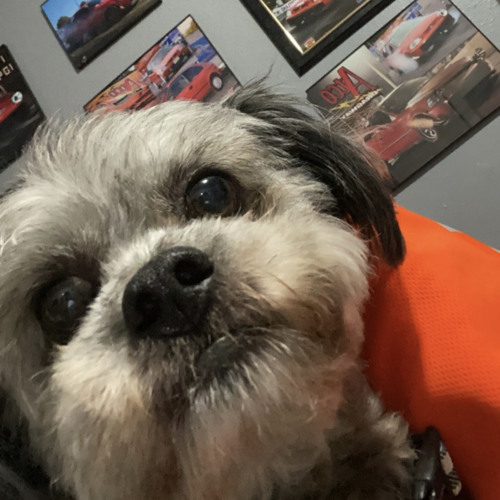 I'd Rather - Justin Vasquez