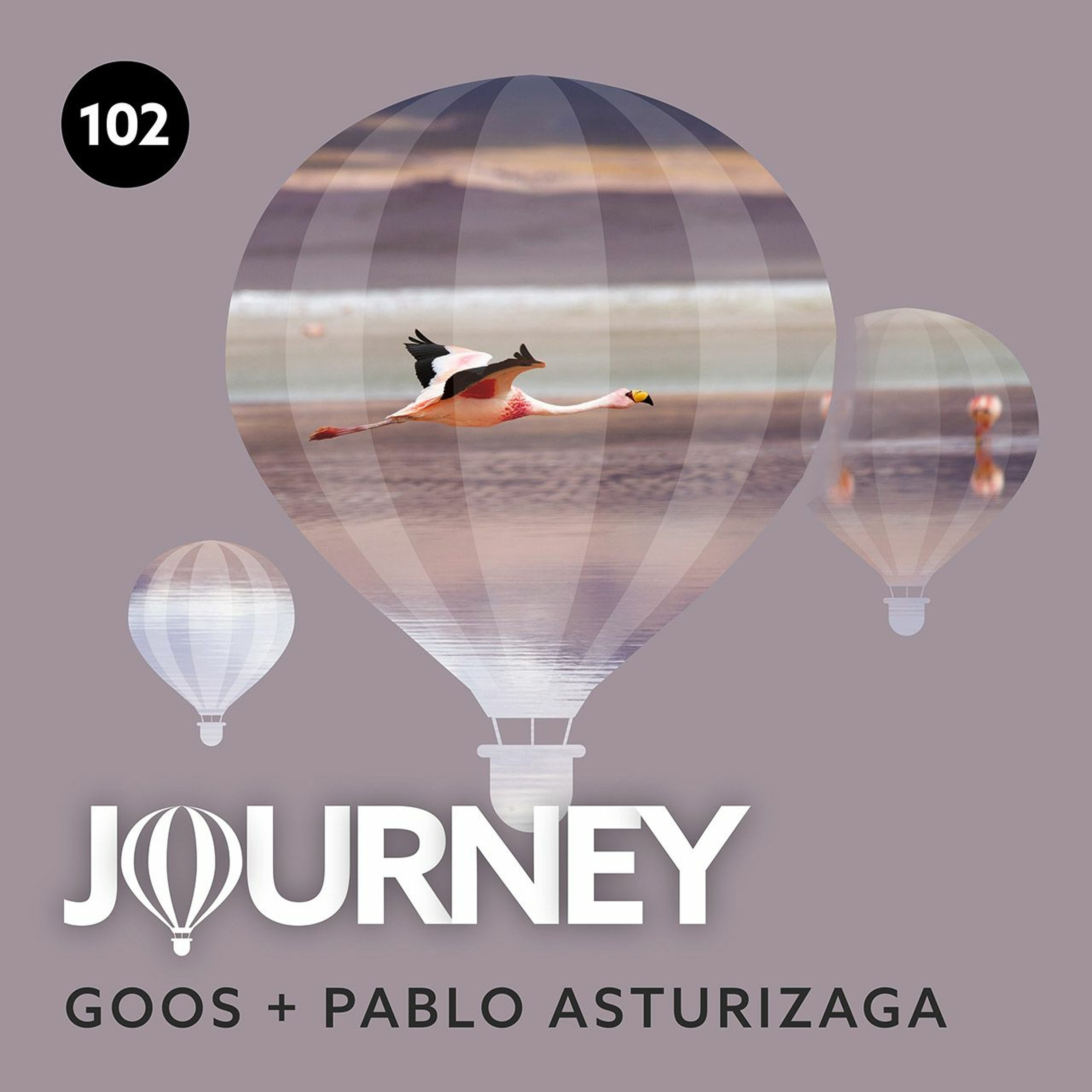 Journey - Episode 102 - Guestmix by Pablo Asturizaga thumbnail