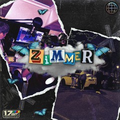 Zimmer V2