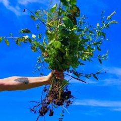 We Don't Talke Anymore - Kitchen Recording