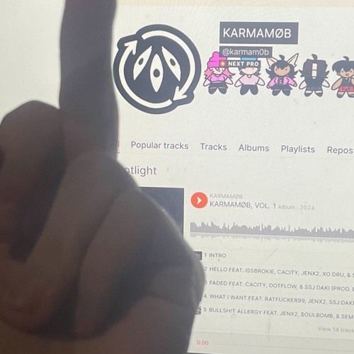 FRICKIN FRICK KARMAMOB THEY ALL SUCK AND THEY'RE GAY AND FAT AND THEY SUCK!!!!! (prod. finngotit)