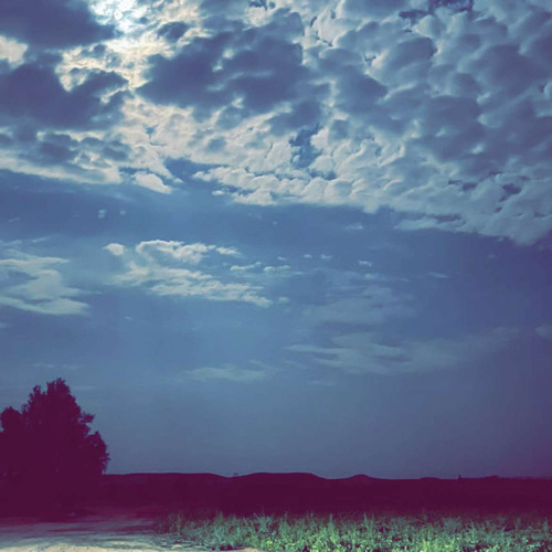 ‏" قايده حور عين الارض وجه و قوام / يقطف الورد نفسه من بعد وردها " 🤍