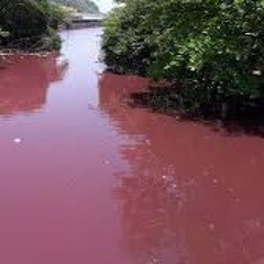 red water