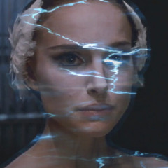 black swan (brundours)