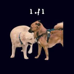 1 Of 1 [Free Download]