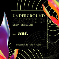 Underground Antics: Deep Sessions 03-15-2025 ant. @ The Wildflower