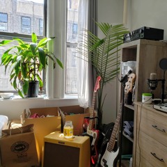 I Think They Heard Me