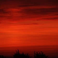 O glorious divine love - HP, AB, JUV