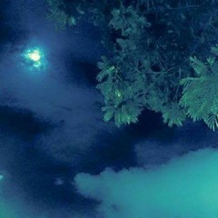 Farewell to the Moonlight, Clouds and Trees (Demo)