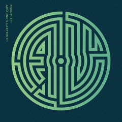 PREMIERE : Ariadne's Labyrinth - Ridiom