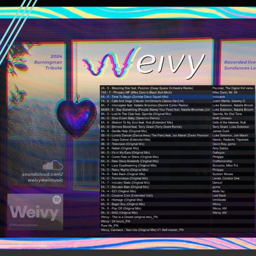 Weivy 2024 Burningman Tribute Demo - Recorded at Sundances