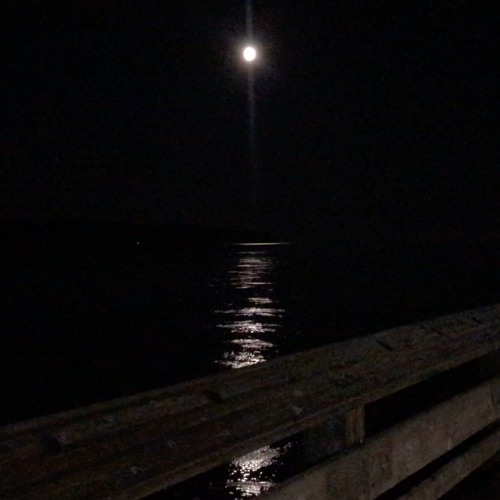 Crime of the Century (orig. Supertramp)