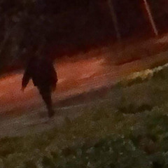 De’angelo’s story