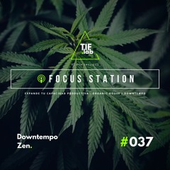 Downtempo Zen #037 - Melodies for the Mind | 🛋️ Deep Focus dj mix session 慢摇