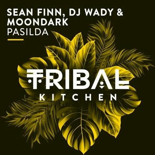 Sean Finn, DJ Wady & MoonDark - Pasilda (Original Mix) [Tribal Kitchen]