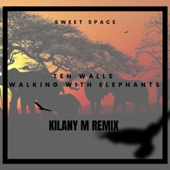 FREE DOWNLOAD: Ten Walls - Walking With Elephants (Kilany M Remix) [Sweet Space]