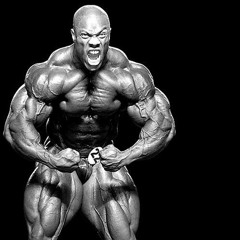 AUTOMOTIVE ASHI ASHI - EXTREME