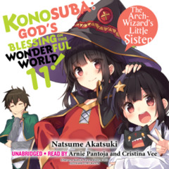 Konosuba: God's Blessing on This Wonderful World!, Vol. 11 by Natsume Akatsuki read by Arnie Pantoja and Cristina Vee