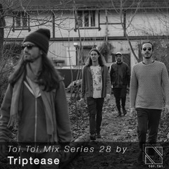 Toi Toi Mix Series 28 by Triptease