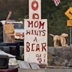 Sweet Chariot Come and Take me Down