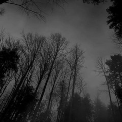 _yxuthxughtyxuwheresafe