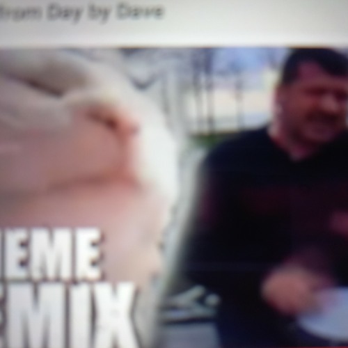 Vibing cat remix | Day by dave