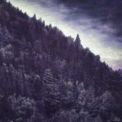 WL//WH - APRIL 2024 \\ Post-Punk/ Coldwave/ Darkwave/ SynthPop/ Minimal Synth