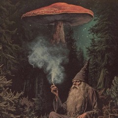 Pedro Crizel (DJSET) - Forest Psytrance // dezembro 2025