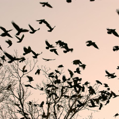 Max Keeble (prod. Terio)