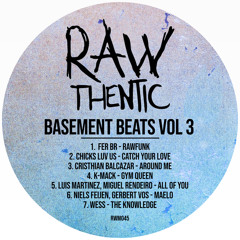 RawFunk (Original Mix)