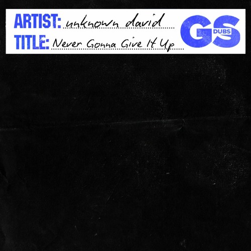unknown david - Never Gonna Give It Up