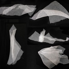 西風（westerlies）