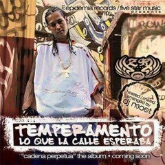 Temperamento Ft. Gemstar, Big Mato Y Willie Sante - Mete Mano - Slowed+reverb