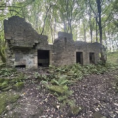 Abandoned