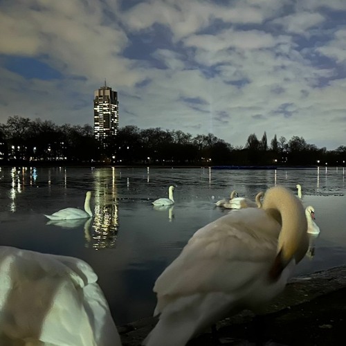 Hyde Park2024.1.17