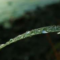 نشيد دعني أراك.... بدون موسيقى ا