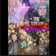 MORE TRIP