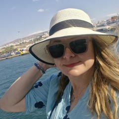 History of Summer Love