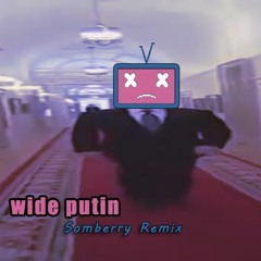 Wide Putin - Song For Denise (Electronic Rock Remix By Somberry)