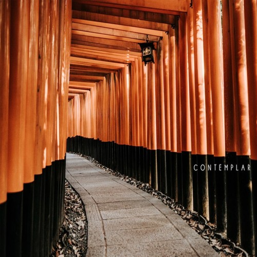 | Contemplar 006
