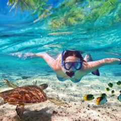 Best Place To Snorkel In Cancun Prices Reviews