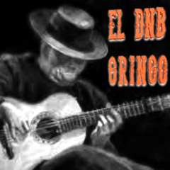 EL DNB gringo
