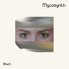 Wach