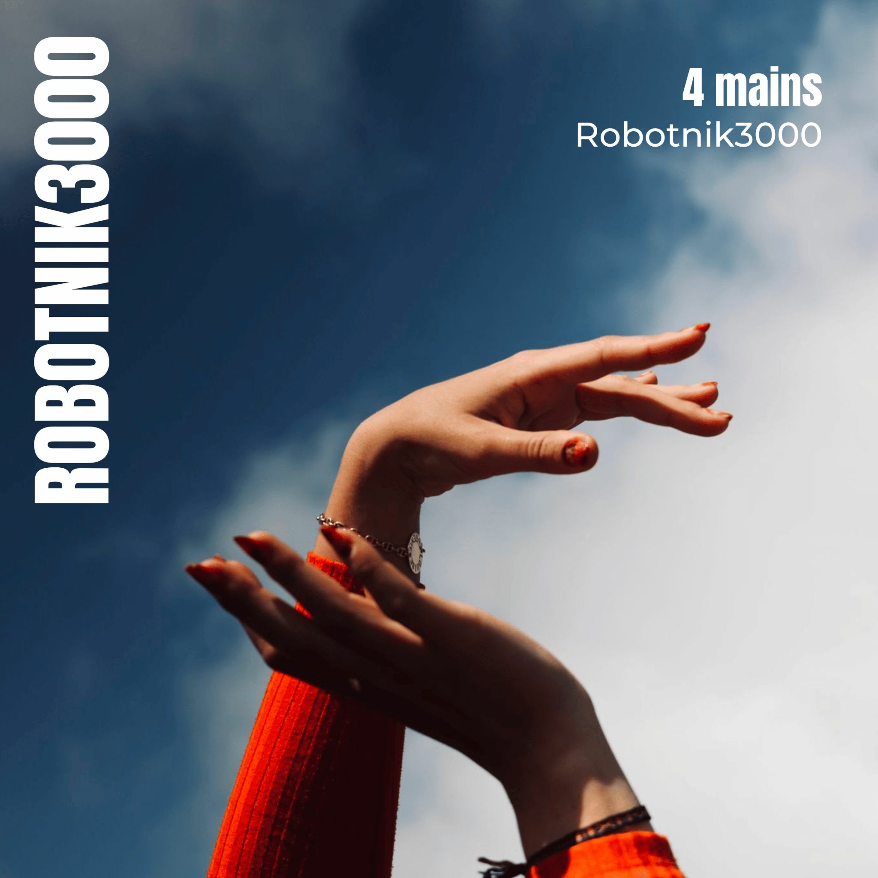 Robotnik3000
