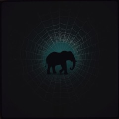 The elephant and the spider web