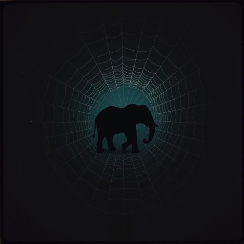 The elephant and the spider web