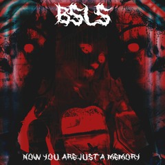 BSLS - Now You're Just A Memory