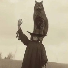 Kitty High