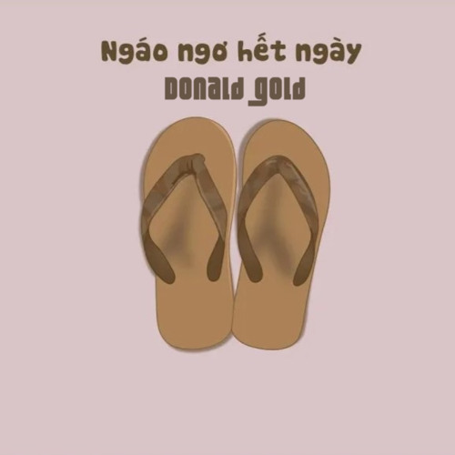 Ngáo Ngơ Hết Ngày